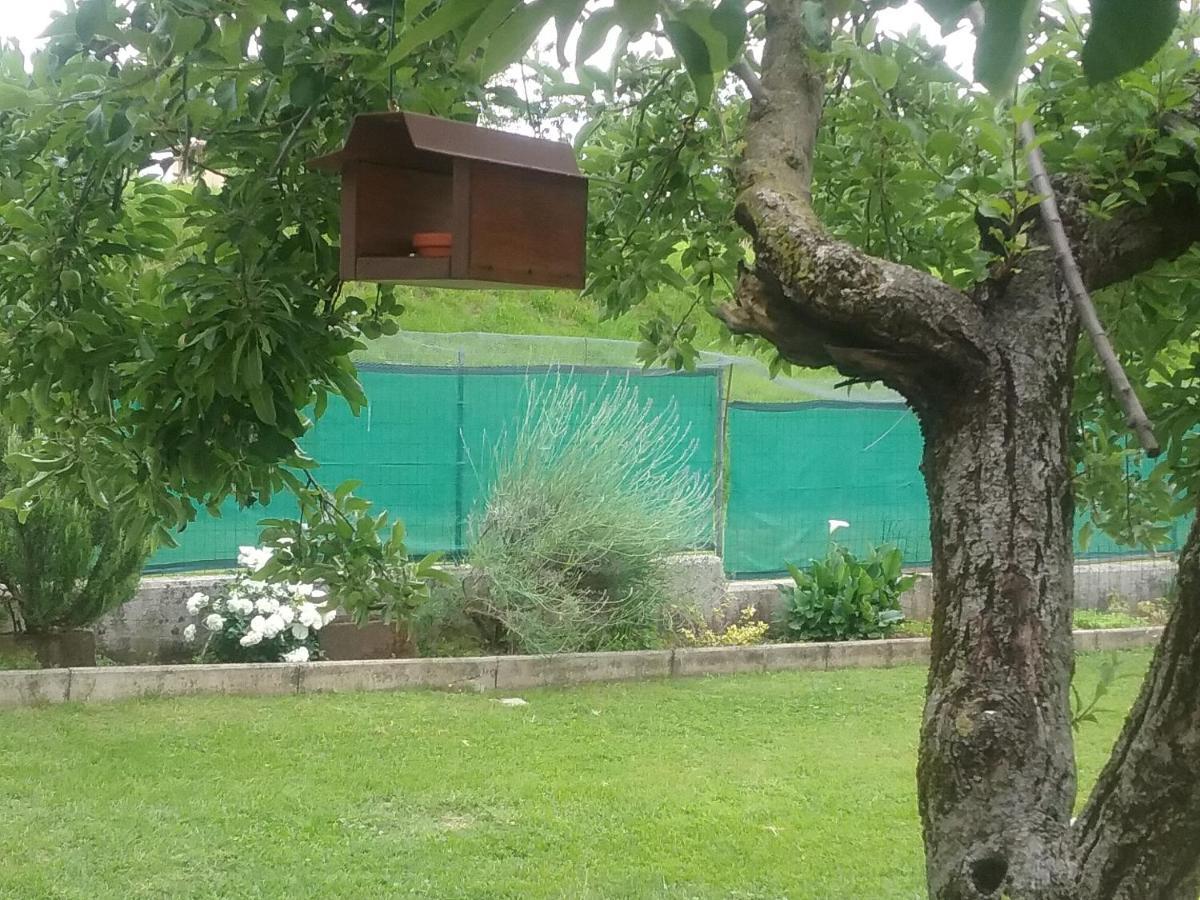 B&B Cuore San Daniele del Friuli Εξωτερικό φωτογραφία